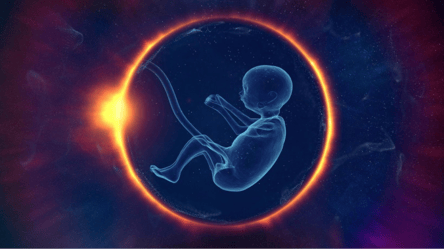 Завагітніти у космосі — вчені досліджують можливості народження дітей за межами Землі - 285x160