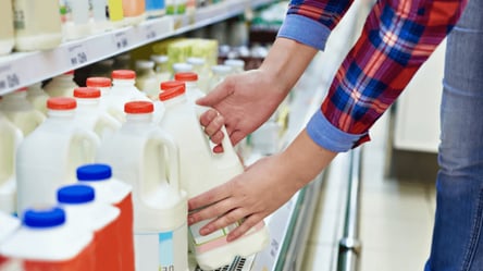 В Украине может подешеветь молоко: что запланировали в Раде - 285x160