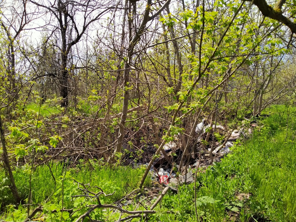 В Одессе продают землю