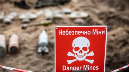 В Украине создали сайт для детей о минной опасности: что известно - 285x160