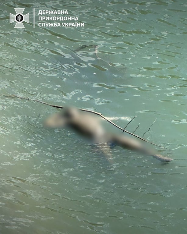 У Тисі потонув чоловік