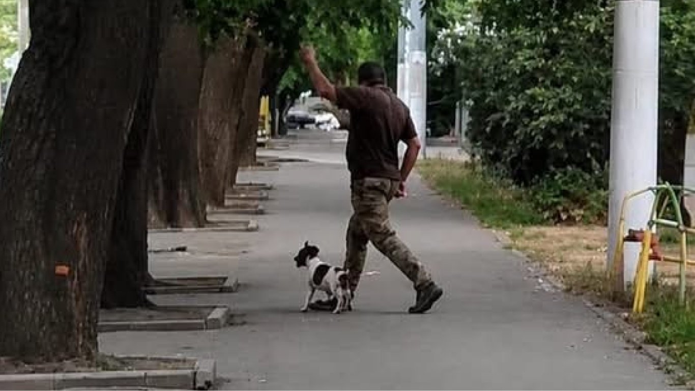 В Одесі ТЦК травмували собаку: поліція проводить розслідування
