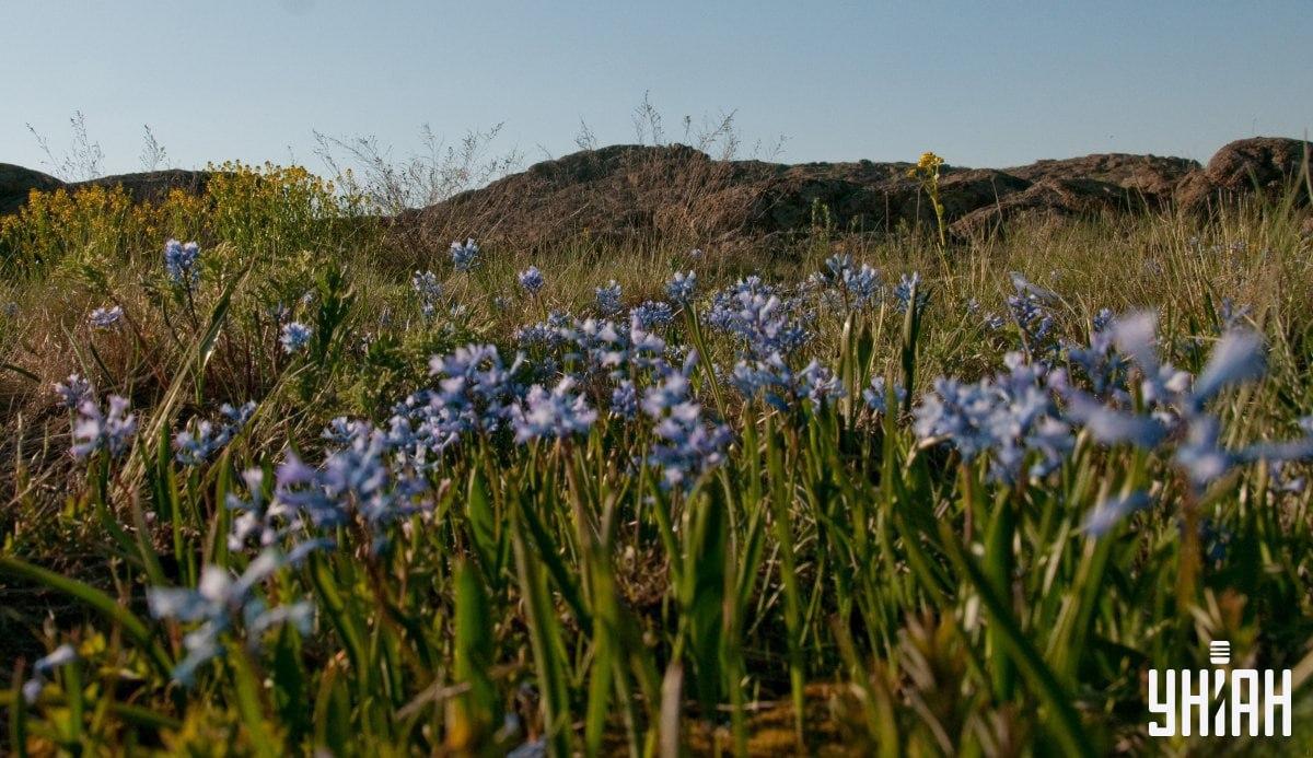 Оптическая головоломка на внимательность