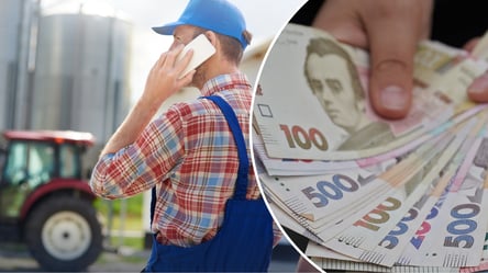 Фермерам увеличат компенсацию за уничтоженный урожай: сколько будет платить государство - 285x160