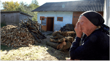 Помощь на дрова — как пенсионеру получить деньги в 2025 году - 285x160