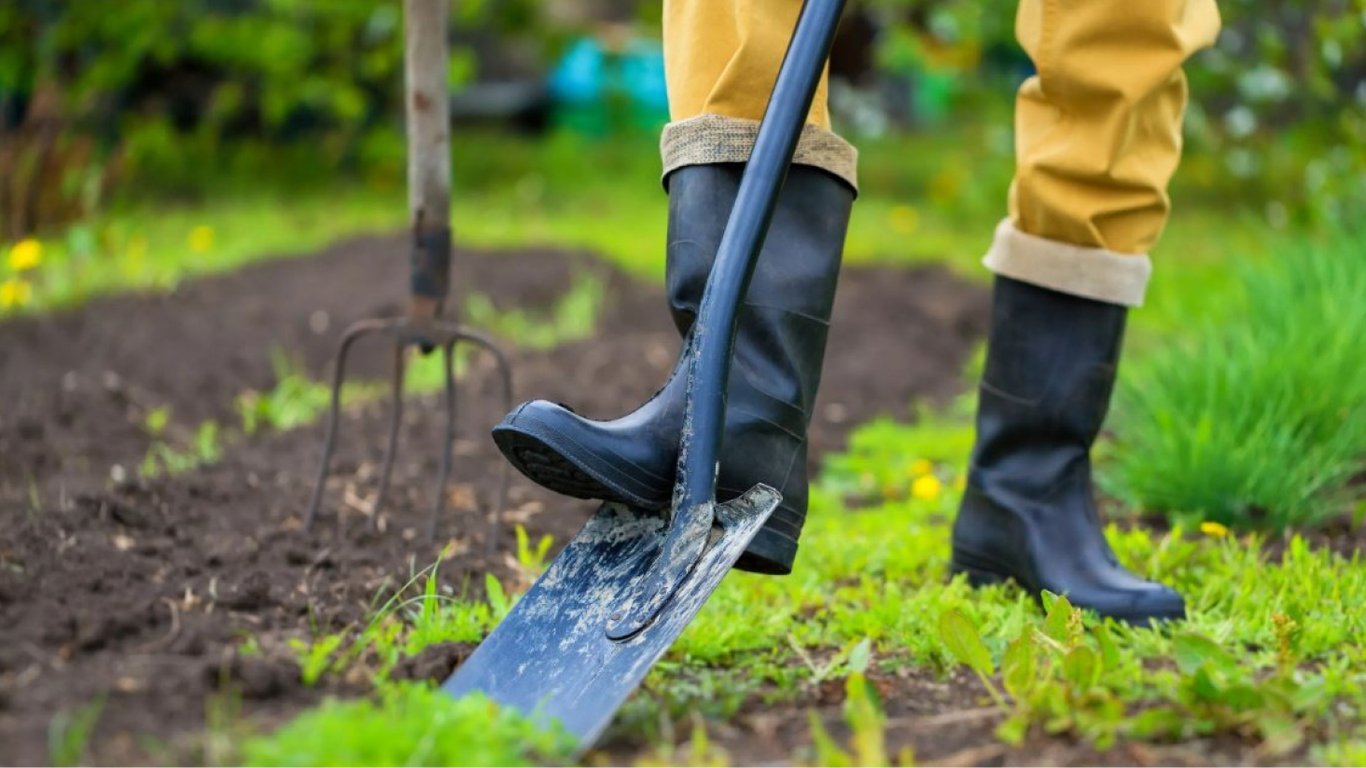 Корисні поради для саду та городу перед Вербною неділею