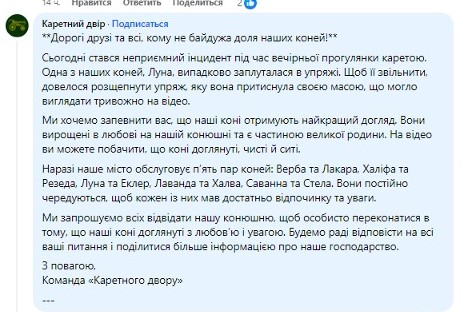 На проспекте Свободы во Львове упала лошадь