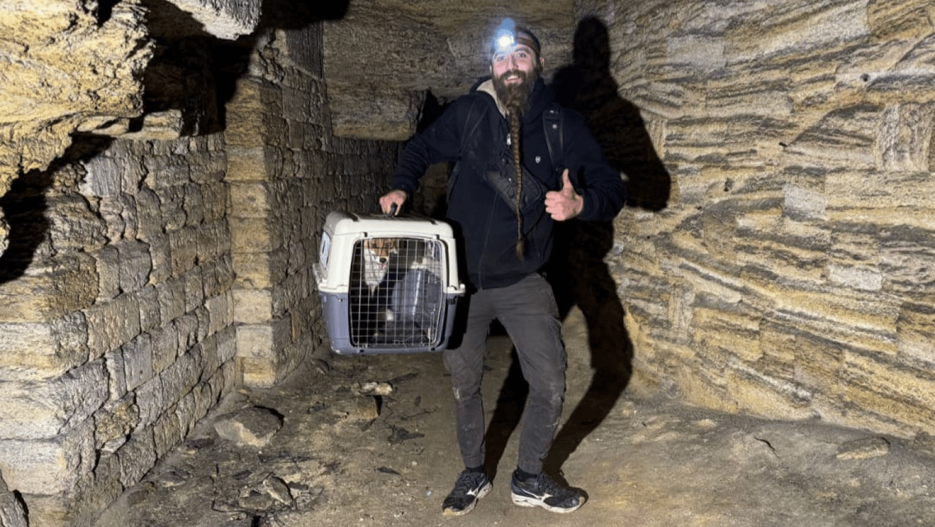 Підземна пастка — в Одесі врятували дикого звіра, фото - фото 2