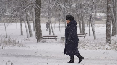 Синоптики предупредили, ждать ли снега в Харькове завтра - 290x166