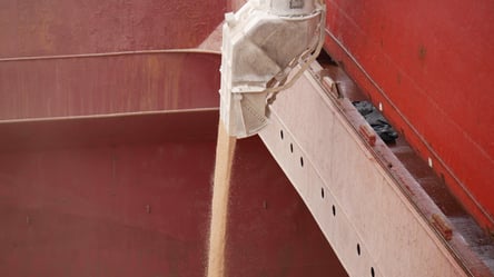 Благодаря портам Одесчины Украина может кормить весь мир - 285x160