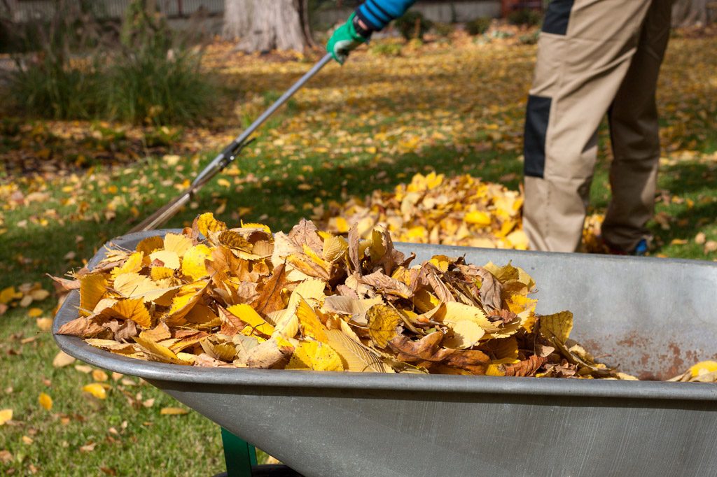 Які існують способи компостування опалого листя