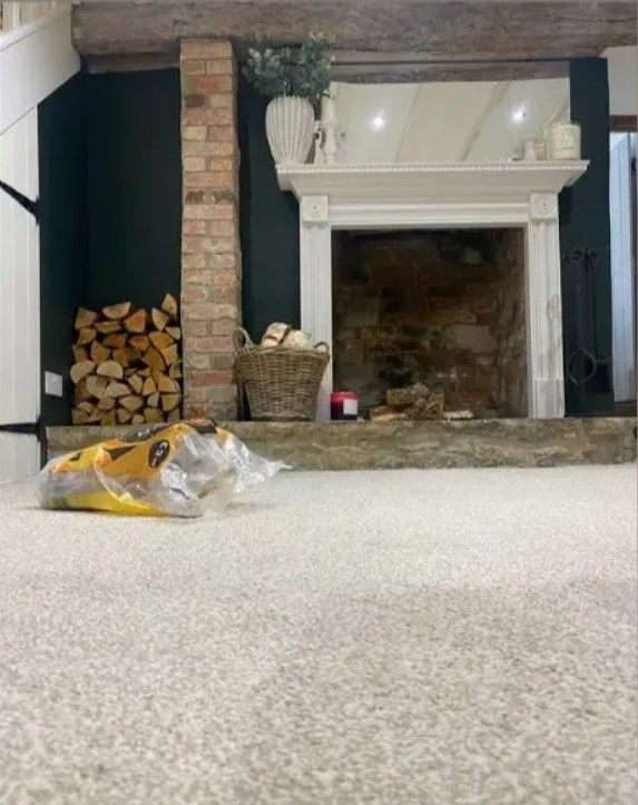 Кіт надійно сховався в кімнаті з каміном — знайдіть його за 7 секунд - фото 1