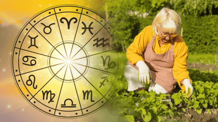 Гороскоп городника — що садити знакам Зодіаку для врожаю мрії - 285x160