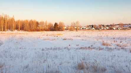 Безплатна земля від держави — у кого в Україні першочергове право - 285x160