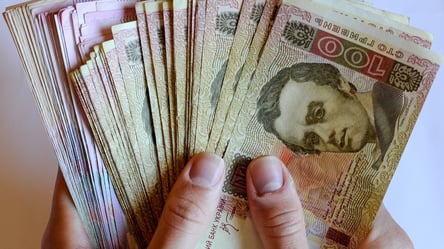 Мінімальна сума для в'їзду в Україну — скільки грошей треба мати - 285x160