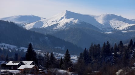 Карпаты засыпало снегом — в Буковеле наступила настоящая зима - 290x166