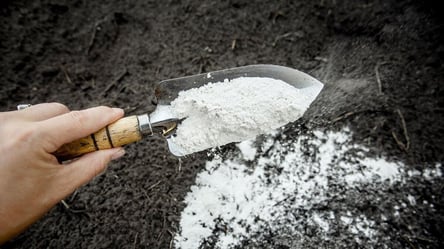Вапнування ґрунту восени — коли, навіщо і як робити правильно - 285x160