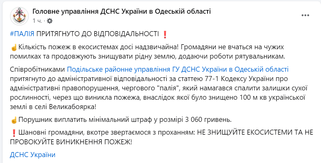 Палив суху траву — на Одещині чоловік отримав штраф - фото 1