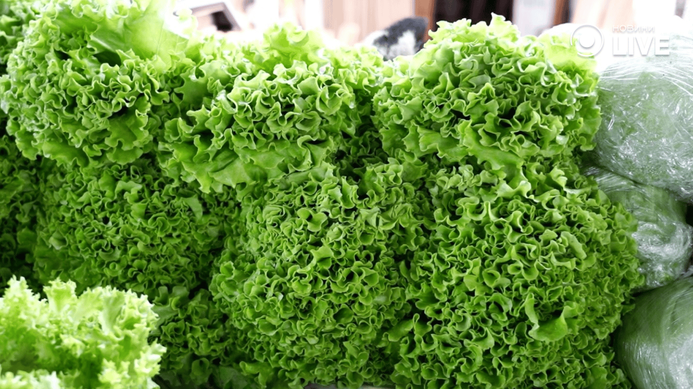 Ціни на зелень в Одесі