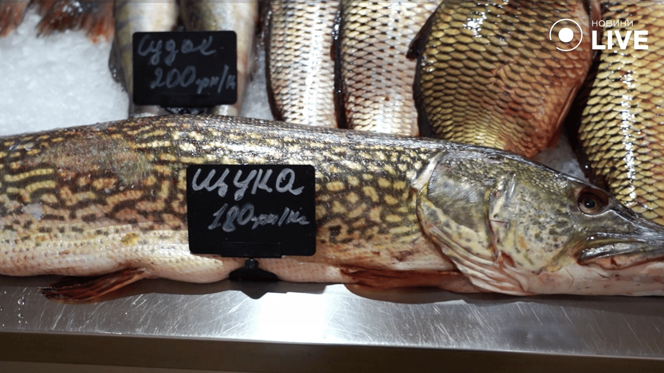 Щука на прилавку