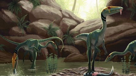 Какие динозавры бродили по Львову миллионы лет назад — этот сайт отправит в прошлое - 285x160