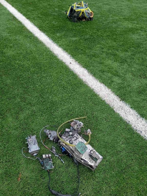 Коледж им. Ивана Поддубного