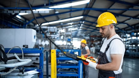 Нардеп сообщил о критической ситуации с трудовой миграцией - 285x160