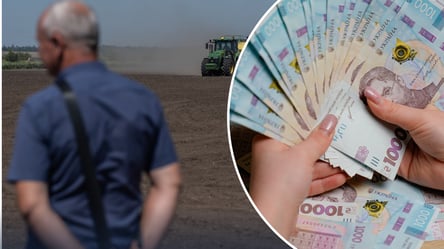 Цены на зерно в Украине: как рапс "завоевывает" агрорынок в июне - 285x160