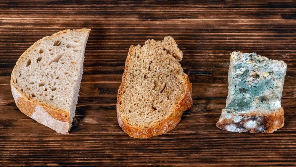Хліб довго буде м'яким і свіжим, якщо його правильно зберігати — п'ять способів - фото 1