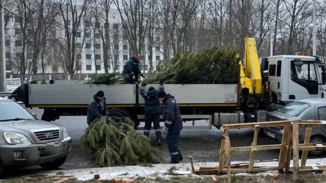 Коммунальщики Харькова просят жителей города выносить елки в специально предназначенных для этого местах.