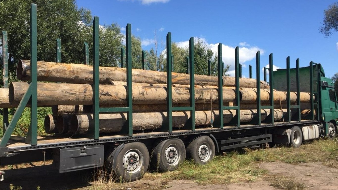 Задержан мошенник: житель Одесской области обманул 18 человек на продаже древесины