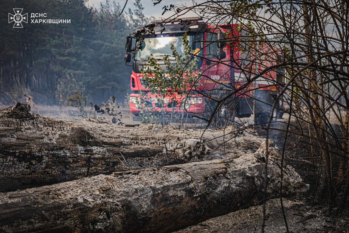 Черкаські Тишки пожежа