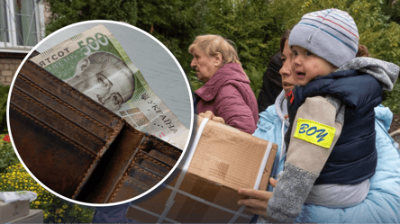 Еще больше ВПЛ получат финподдержку: что надо сделать до 1 июня - 285x160