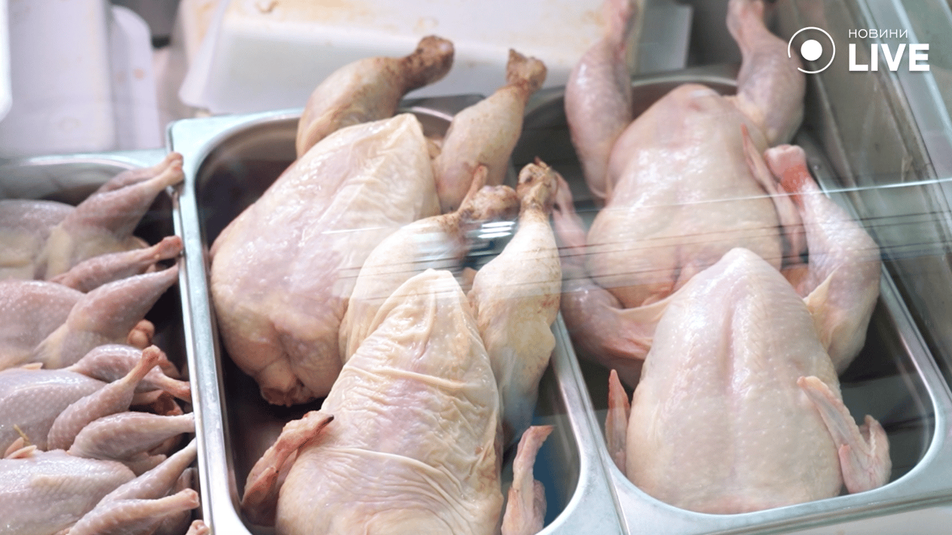 Туши курчат