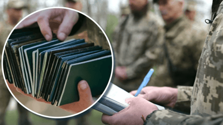 Правила перевірки паспортів і військово-облікових документів: у чому різниця - 285x160