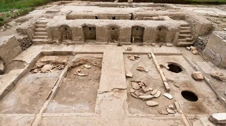 В Італії археологи знайшли унікальну давньоримську виноробню: чим вона особлива - 285x160