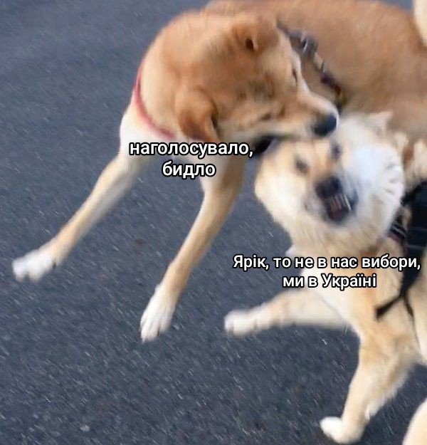 мем про Трампа