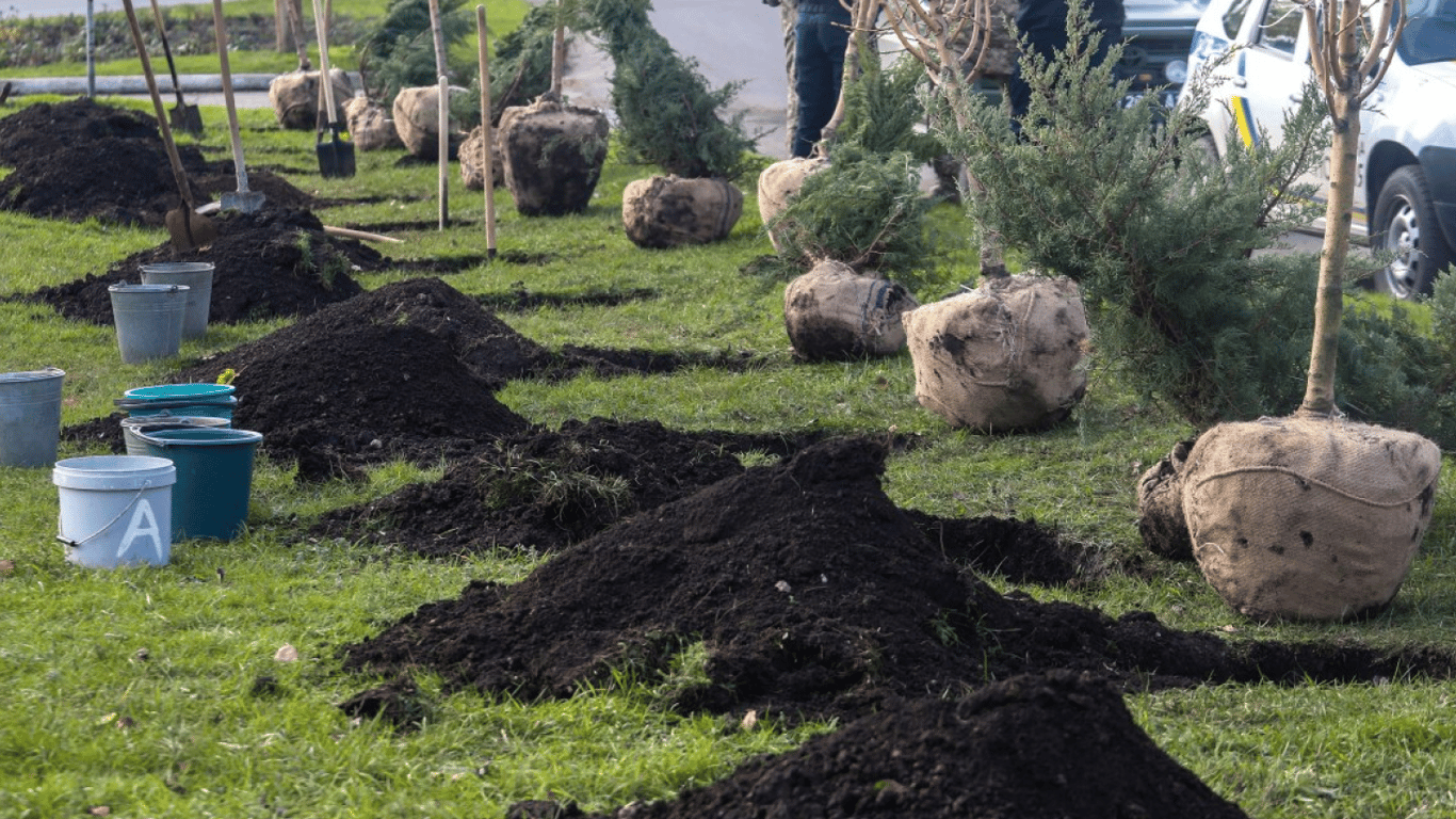 В Одесской области этой весной высадят более трех миллионов новых деревьев — подробности