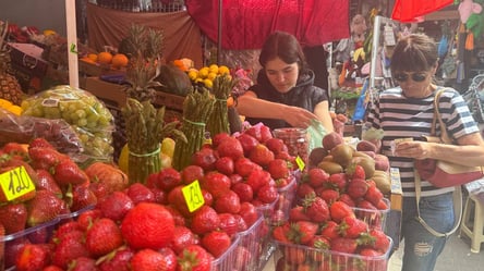 Сезон фруктов и ягод во Львове открыт — актуальные цены на рынке - 285x160