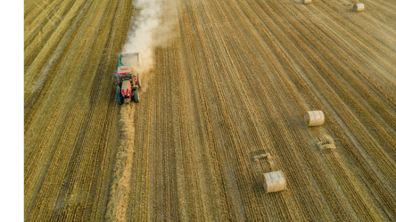 Цены на зерно в мире — что изменилось в последние дни лета - 285x160