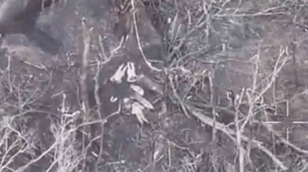 Расстрел четырех пленных: прокуратура начала расследование - 285x160