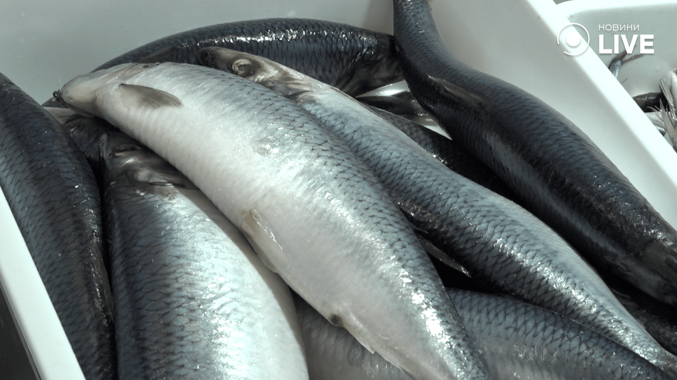 Оселедець на прилавку