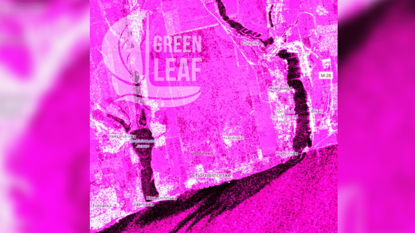 Як російський обстріл спричинив екологічну катастрофу біля Одеси - фото 6