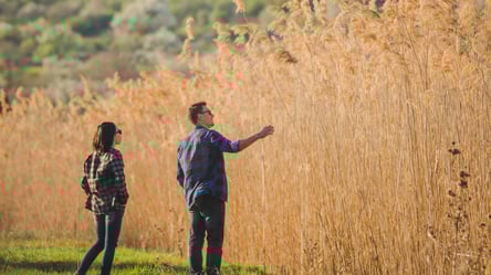 Новые правила оплаты за землю при покупке дома — что изменилось - 285x160