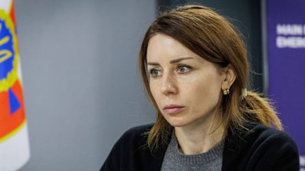 В Минэнерго прокомментировали схемы в энергетике — кто ответит - 285x160