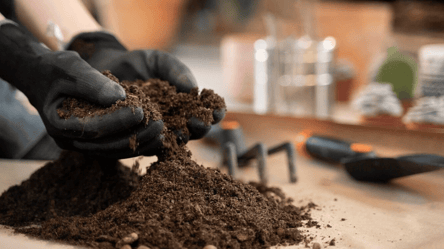 Що таке субстрат та як він впливає на ріст і здоров’я рослин - 285x160