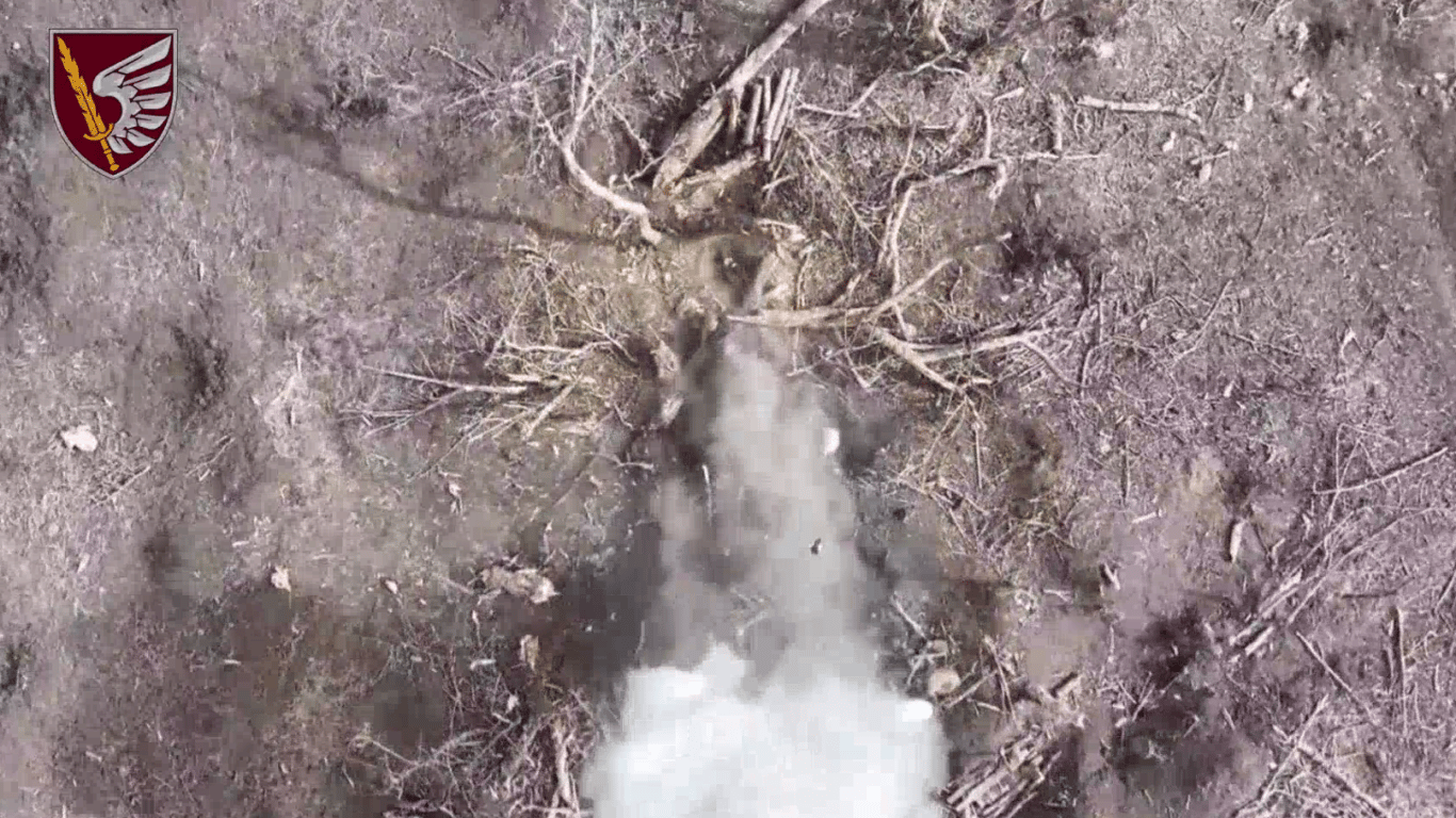 Бійці 79 бригади ефектно знищили окупантів з дронів — відео
