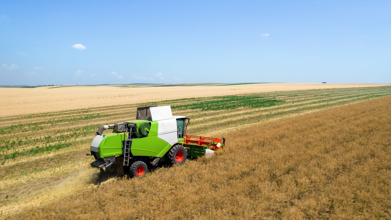 Цены на зерновые в Украине по состоянию на 6 марта 2024 года