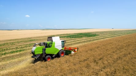 Ціни на зерно в Україні — скільки коштує кукурудза у березні - 290x166