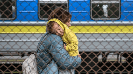 В Ирландии украинские беженцы взбунтовались из-за еды: что произошло - 285x160